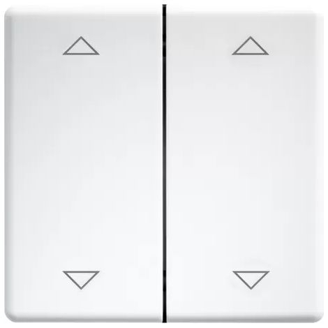 Eltako Doppelwippen lasergraviert für Taster und Schalter 55er Design und E-Design55 reinweiß glänzend 30000985 (1/2)