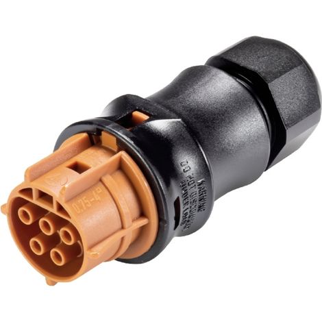 Wieland Electric 96.051.4151.4  Steckverbinder
