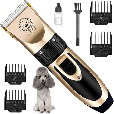 Filiyano-Tondeuse pour animaux de compagnie, ensemble de tondeuses pour chiens (1/5)