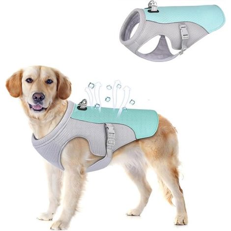 Hunde-Kühlweste leichte Kühlweste atmungsaktiv reflektierende Sicherheitsweste für kleine und mittelgroße Hunde UV-Schutz Hunde-Kühlweste Größe S blau (1/5)