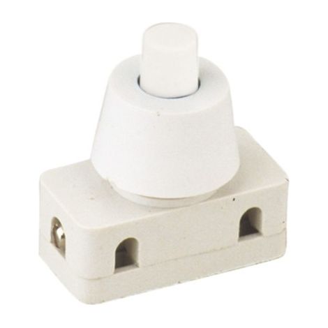 INTERRUPTOR A PULSADOR 2A 250V
