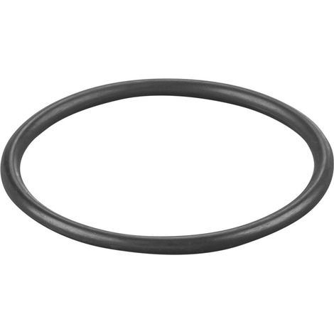 Rems O-Ring 060277