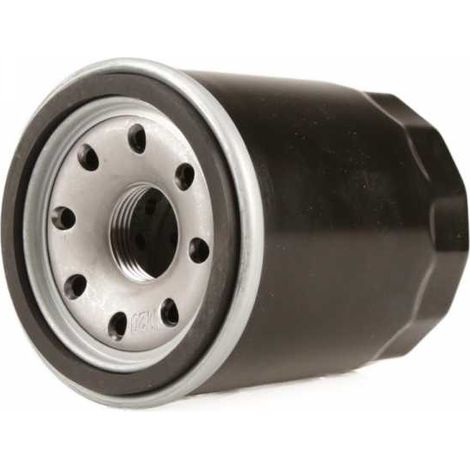 Filtre à huile compatible avec moteur Honda GX610 (1/5)