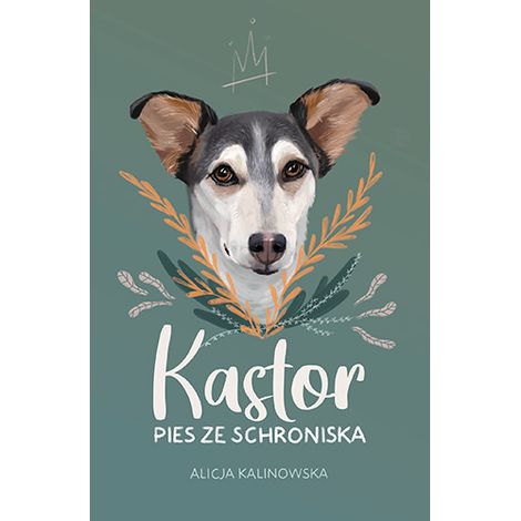 Castor. Un cane da un canile