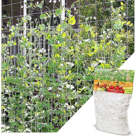 (1,67m X 5 M)filet Pour Plantes Grimpantes, Grande Maille Filet Tuteur, Grimpante En Polyethylene Filet De Treillis, Pourtomates, Raisins, Concomb (1/5)