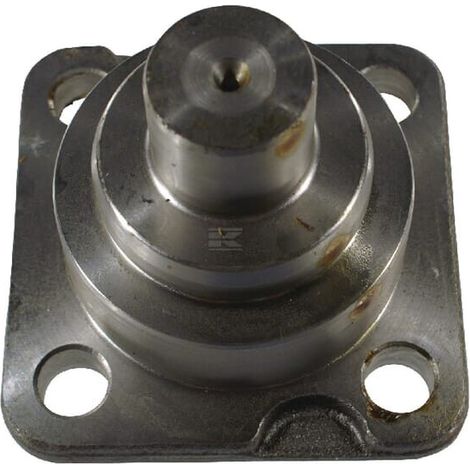 Pivot de fusée CARRARO CI143239