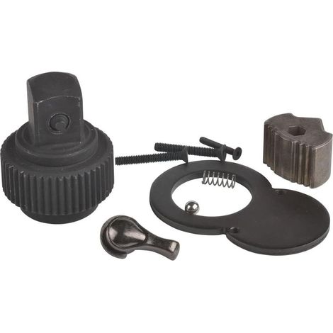 SW-Stahl 03816L-REP Kit de réparation mécanisme à cliquet 3/4 pouces I Kit de réparation à cliquet pour clés dynamométriques 03816L, 03817L, 03876L et 03877L I Kit de réparation pour tête à cliquet