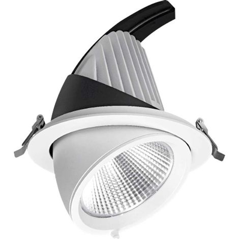 Transfo EAGLERISE lumaca faretto LED COB 40W incasso orientabile  Température de Couleur: Bianco neutro 4000K
