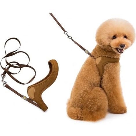 Gadpiparty Harnais pour chien Teckel miniature sans traction Sangle de poitrine confortable Café Taille S pour promenades quotidiennes (1/5)