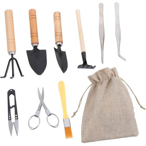 Ensemble D'outils pour Plantes Succulentes 10 Pièces en Fer et Bois, Facile à Transporter et Ranger pour Jardinage en Extérieur et Usage Domestique (1/5)