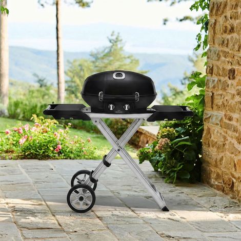 Pack Barbecue à gaz TravelQ PRO 285X + Housse (1/5)