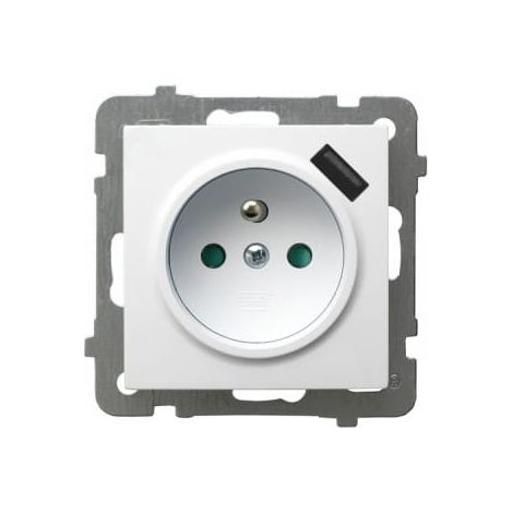 Als weiße p/t Einzelsteckdose mit Erdung 2P+Z mit Abschirmung + USB-Ladegerät ohne Rahmen