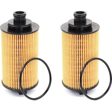 2 Stück Ölfilter SH40X20136 für Hunter-Modelle