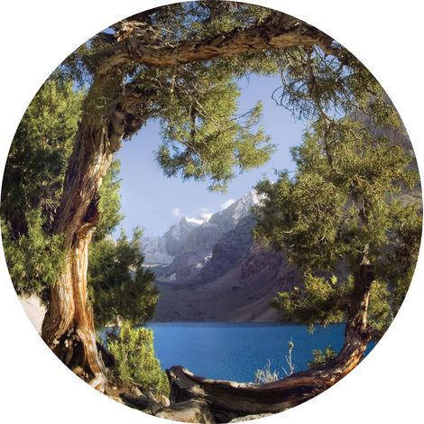 papier peint panoramique rond adhésif montagnes avec des arbres vert et bleu - Sanders & Sanders (1/4)