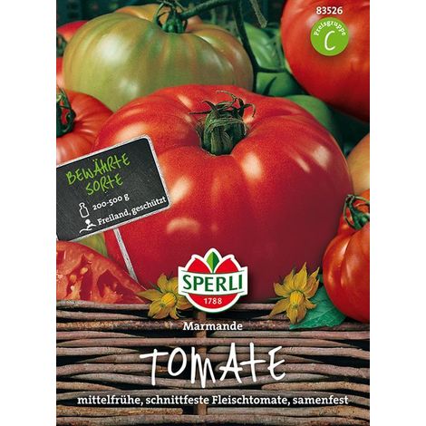Sperli Fleischtomate 'Marmande' Saatgut - 1 Portion (1/4)