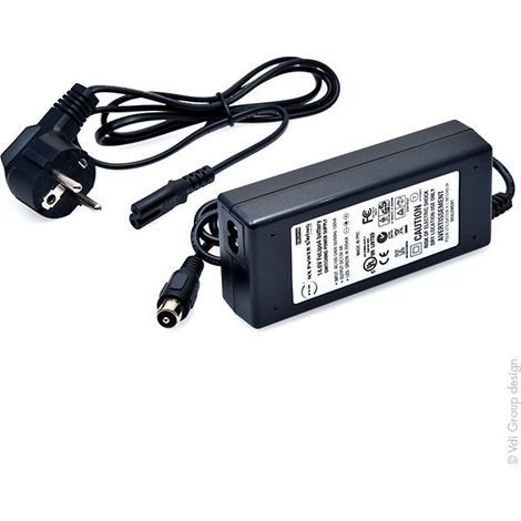 NX - Chargeur Lithium Fer Phosphate 4S 4A (12V) - Connecteur golf (1/4)