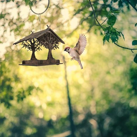 Distributeur de Graines pour Oiseaux en Bois - Nichoir Hanging 30x23.5x20cm - Grand Plateau - Décoration Jardin (1/5)