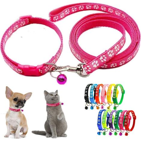 Ensemble laisse pour chien rose vif de taille XS, collier en nylon avec clochette et patte de clochette - Collier réfléchissant basique pour petit chien - Pour petite litière pour animaux domestiques (1/5)