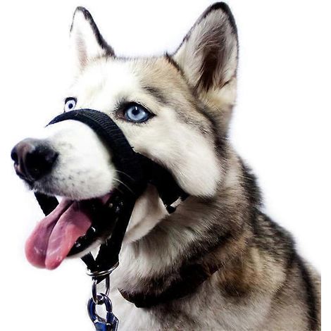 Muselière souple pour chien M - embout buccal ajustable, respirante (1/5)