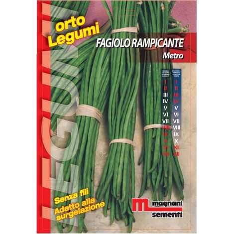 Semi Fagiolo Rampicante Metro
