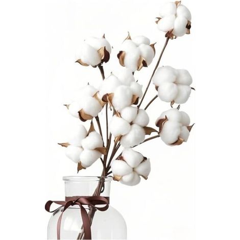 10 Fleurs de Coton Sechees Naturelles , Bouquet Fleurs de Coton Séchées, Branches Coton, Fausses Plantes Séchée pour Balcon Maison Table Composition Florale Mariage (1/5)