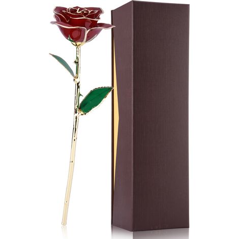 Rose Éternelle avec Tige Longue et Finition Or 24k - Idée Cadeau Saint-Valentin Parfaite (1/5)