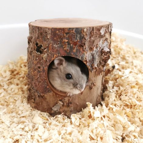 Habitathaus-Versteck für Hamster, Mäuse, Rennmäuse und andere kleine Haustiere