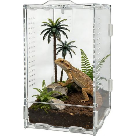 Terrarium en Acrylique pour Reptiles Cage d'Élevage Transparente pour Lézard Araignée Serpent Insecte Boîte d'Alimentation Panoramique 360 Degrés avec Ventilation (1/5)