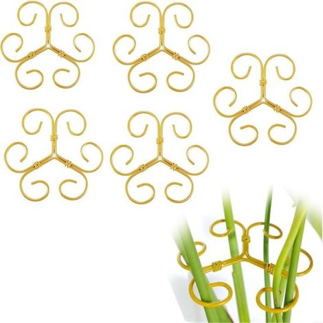 Lot de 5 supports pour plantes grimpantes et Monstera, tuteurs en fer avec pinces de maintien, supports stables pour plantes d'intérieur, croissance et décoration (1/5)