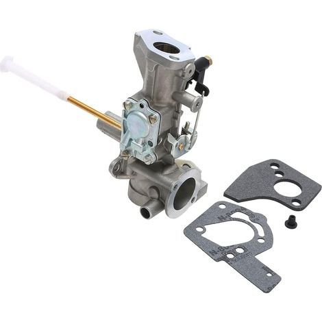 Carburateur pour Briggs & Stratton 498298 495426 (1/4)