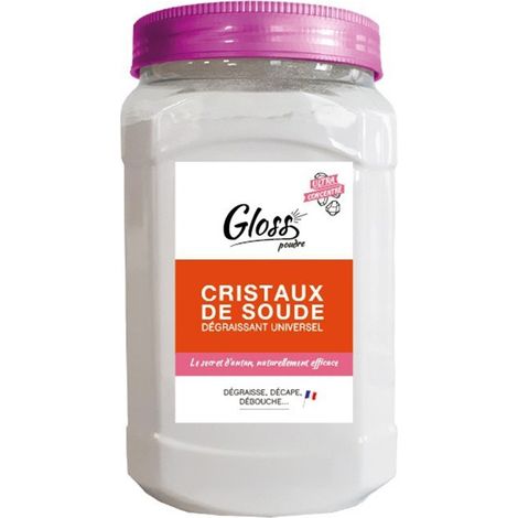 Gloss Detergente Ultra Concentrato in Polvere 600g Efficace