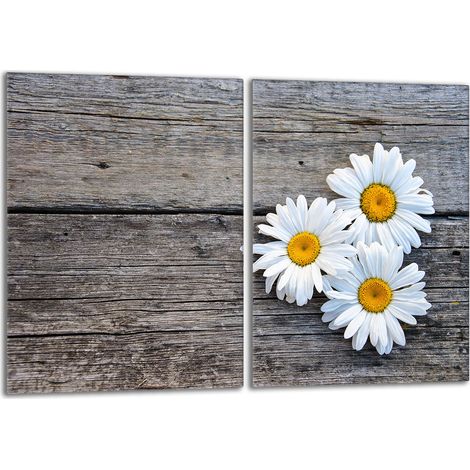 Placa protectora de vidrio para la estufa 2x40x52 Daisy (1/5)