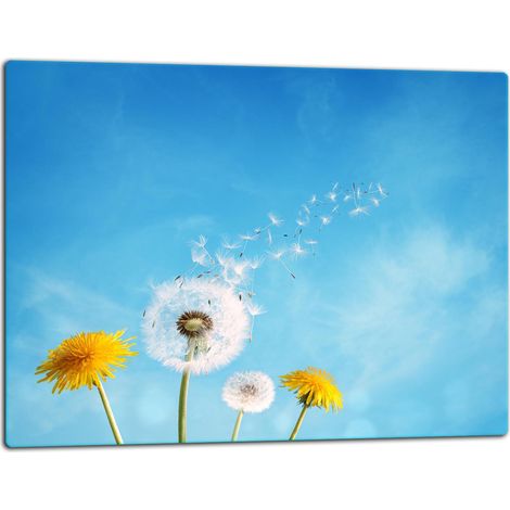 Planche à découper en verre 52x40 pissenlit (1/5)