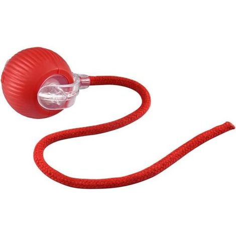 PALLINA DA GIOCO CON CORDINO PER GATTI CON RICARICA USB (07190) (1/2)
