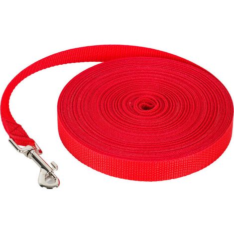 Nylon-Trainingsleine für kleine Hunde – Rot 5M
