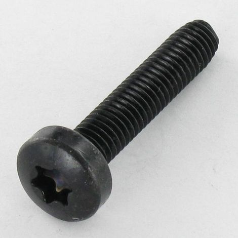 Vis autotaraudeuse tête cylindrique bombée large M5X16 TORX T25 Acier zingué noir - 1 pièce (1/3)