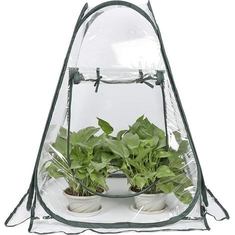Mini Serre Pop up Grow House, Couverture de Serre intérieure extérieure en PVC, Petit abri de Fleurs de Jardin Portable - 70 x 70 x 80 cm (1/5)