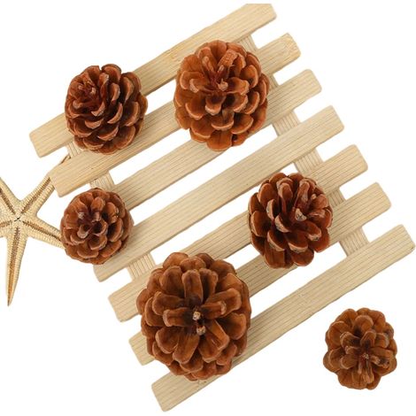 Pommes De Pin - Lot De 24 Unités Naturelles Non Parfumées - Pour Décoration De Noël Automne Hiver Thanksgiving - Centre De Table Couronne Vase Composition (1/5)