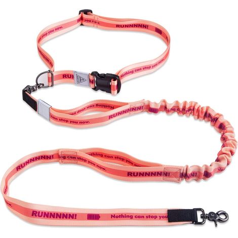 Laisse Mains Libres pour Chien avec Ceinture de Remplacement, Laisse élastique à Double poignée pour la Course, Le Jogging, la randonnée et la Marche, pour Chiens de Taille Moyenne et Grande (1/5)