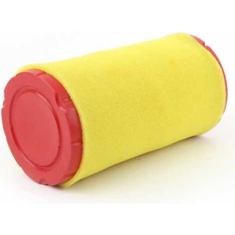 Filtre à air pour moteur Briggs & Stratton 793569 (1/5)