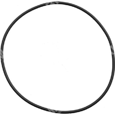 Anello OR per pompe BERTOLINI COMPATIBILE - 023367