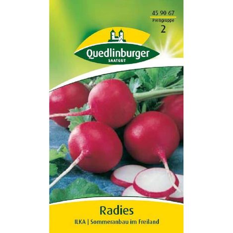 Quedlinburger Radies Ilka - Gemüsesamen (1/2)
