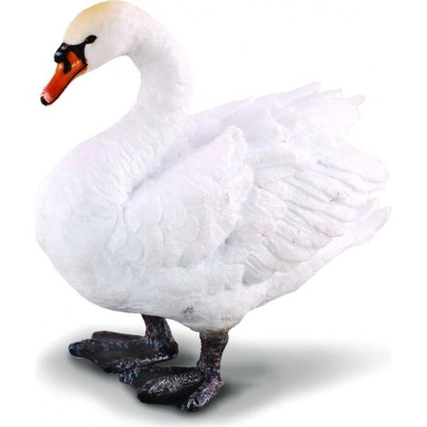 Höckerschwan