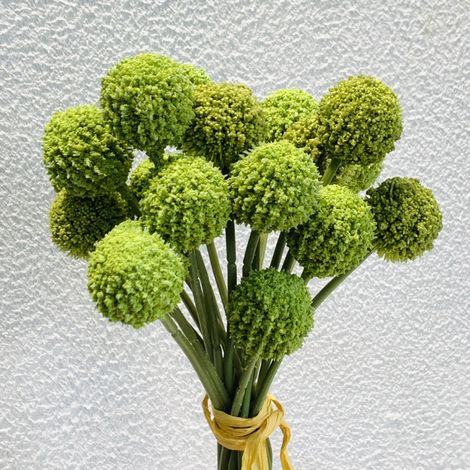 Beyamis Bouquet de 9 chrysanthèmes artificiels verts, idéal pour la décoration de la maison et des mariages.