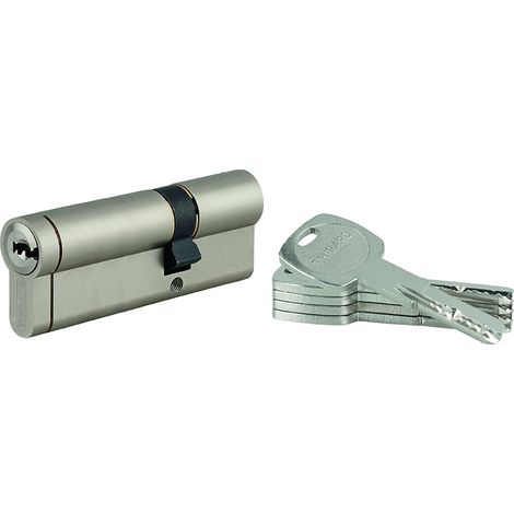 THIRARD - Cylindre double entrée Transit 1 UNIKEY (achetez-en plusieurs, ouvrez avec la même clé), 30x60mm, 5 clés, nickelé - THIRARD