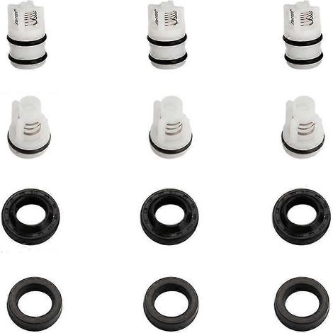 Kit de remplacement de clapets anti-retour d'huile pour nettoyeur haute pression 4 (1/5)