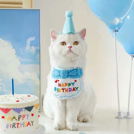 1 bavoir déguisement d'anniversaire pour chien ou chat - Bavoirs assortis mignons pour tous les jours - Chapeau en feutrine (1/4)