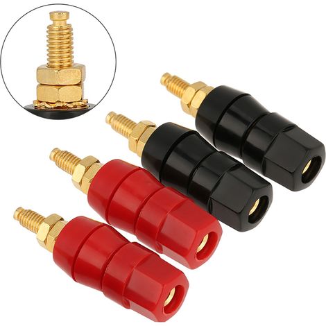 Boîtier d'enceinte plaqué or avec deux bornes de connexion rouges et deux noires (1/5)