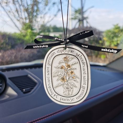 10 langanhaltende Duftkugeln fürs Auto, zum Aufhängen, als Dekoration für Fahrzeug, LKW oder Zuhause (1/5)
