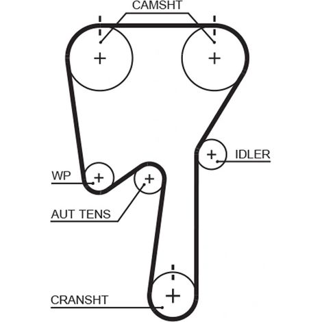 Kit de courroie crantée Gates K045509XS FORD 1372015 1726568 274518 30731727